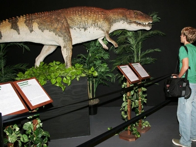 Branson Dinosaur Museum Image #1