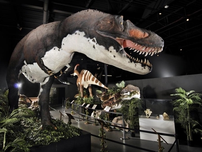 Branson Dinosaur Museum Image #2
