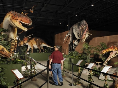 Branson Dinosaur Museum Image #3