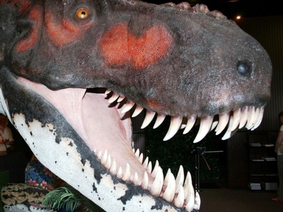 Branson Dinosaur Museum Image #4